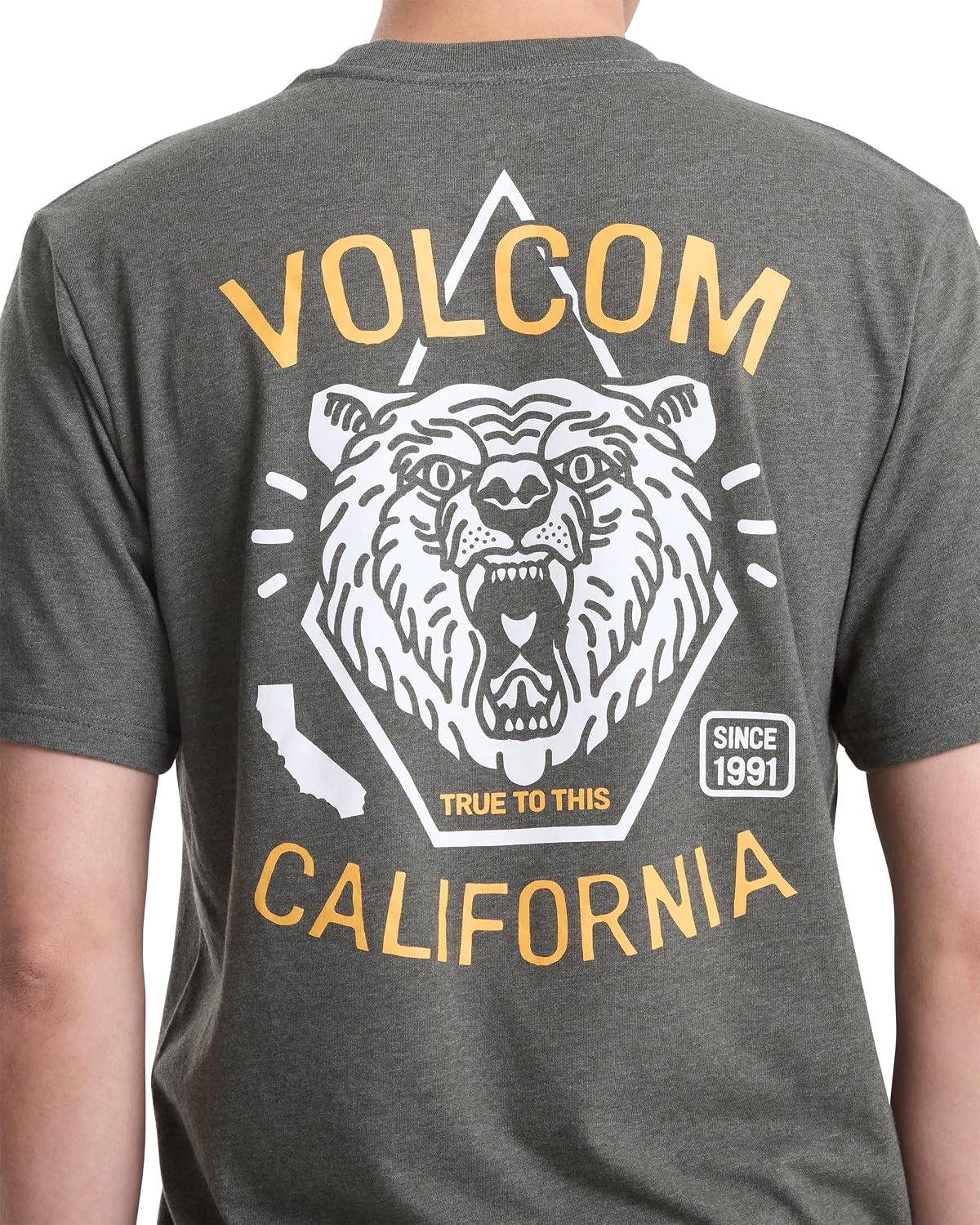 Volcom Men's California Dreaming Short Sleeve Tee Green